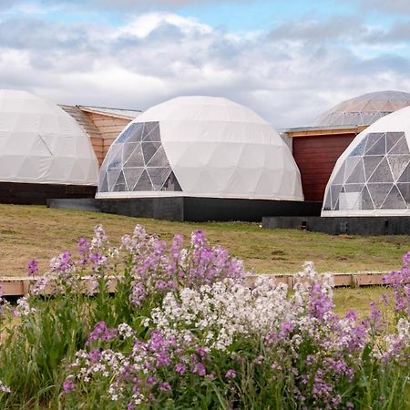 Garden Domes Villa Puerto Natales Exteriör bild