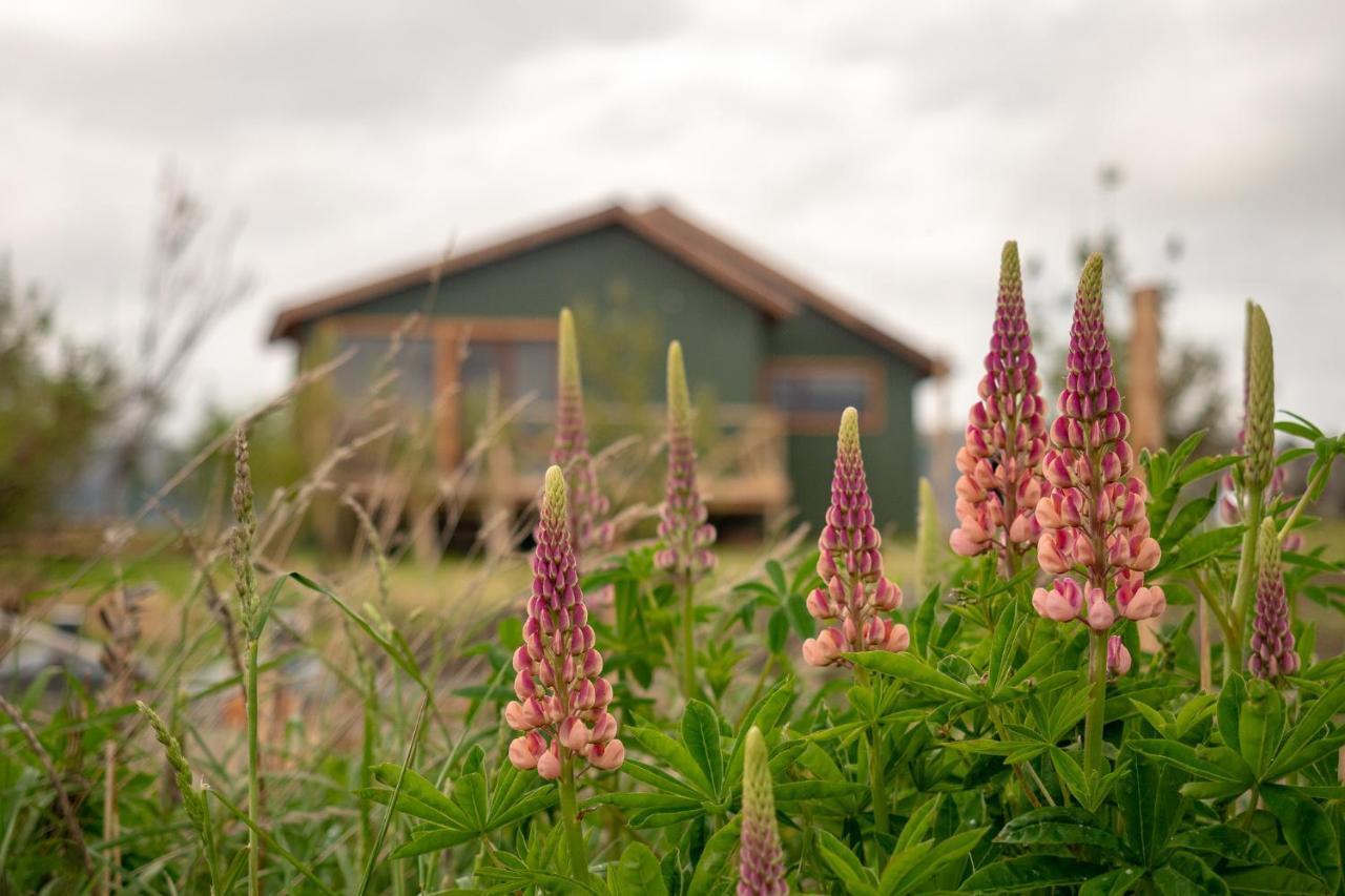 Garden Domes Villa Puerto Natales Exteriör bild