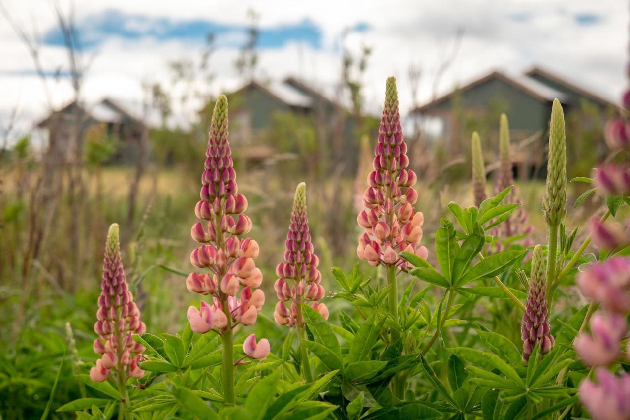Garden Domes Villa Puerto Natales Exteriör bild