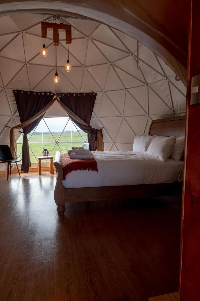 Garden Domes Villa Puerto Natales Exteriör bild
