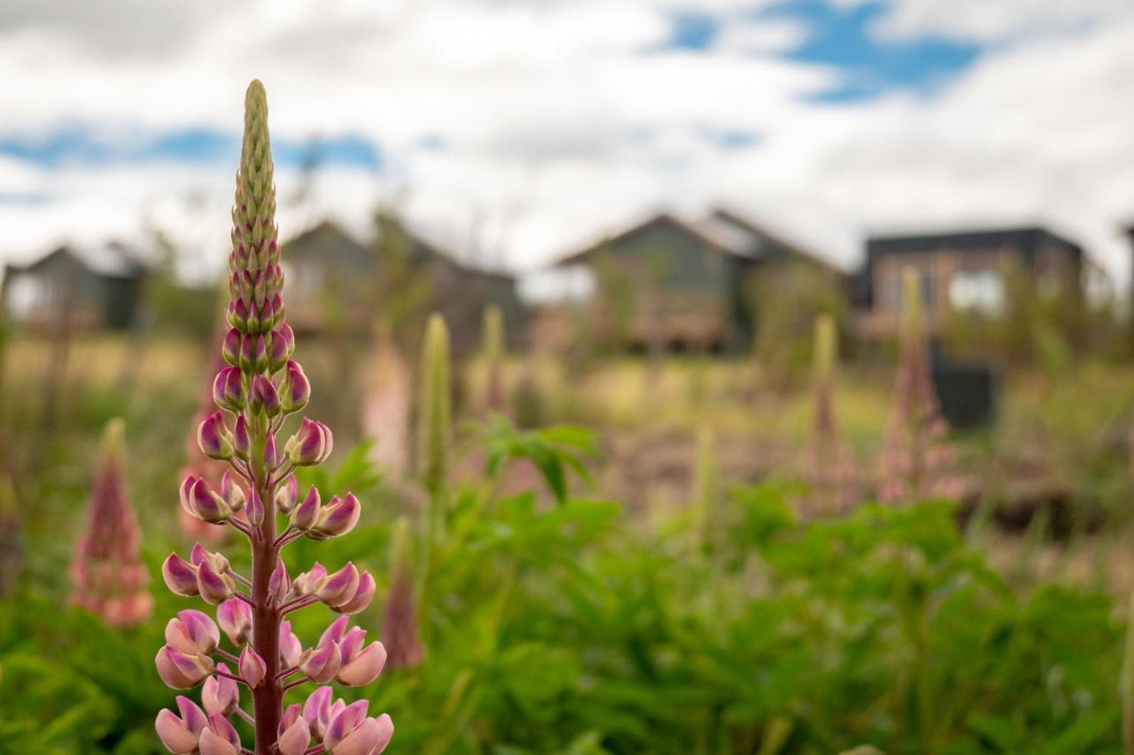 Garden Domes Villa Puerto Natales Exteriör bild