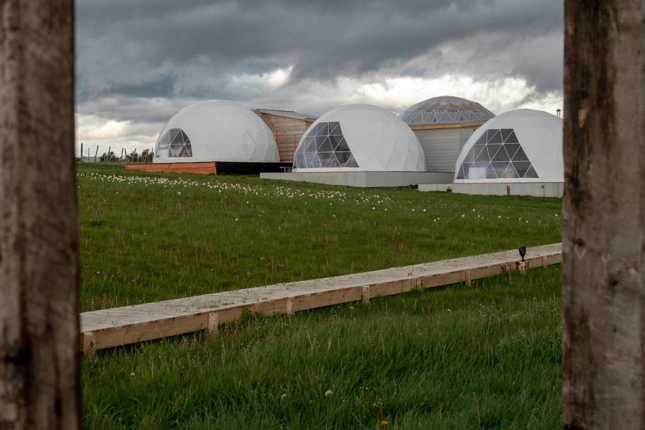 Garden Domes Villa Puerto Natales Exteriör bild