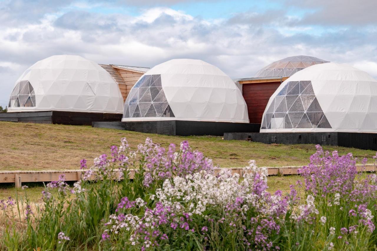 Garden Domes Villa Puerto Natales Exteriör bild