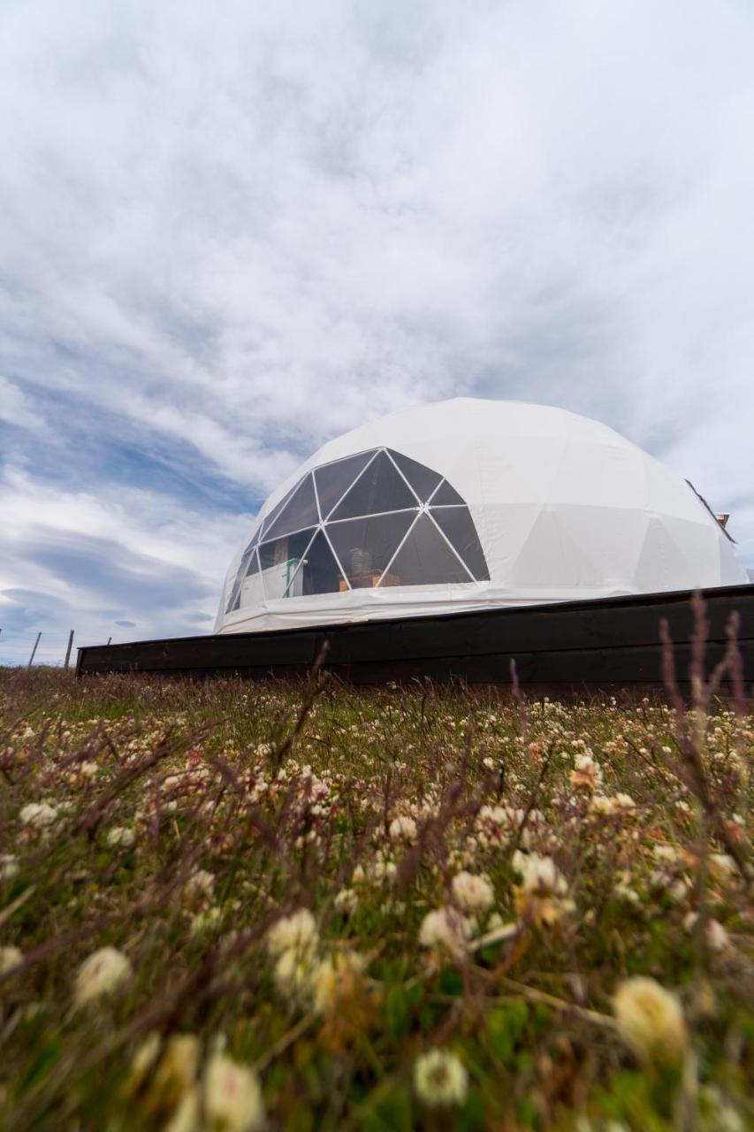 Garden Domes Villa Puerto Natales Exteriör bild